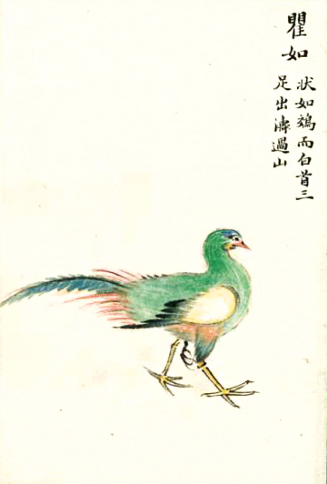 中华文化上古奇书《山海经》禽鸟类,多头,怪异人面,飞行的表情包