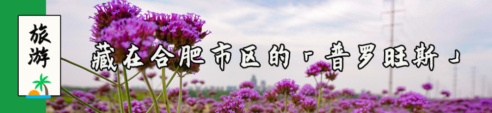 蜀山区公租房租赁补贴可网上申请啦！附合肥市公租房申请指南！