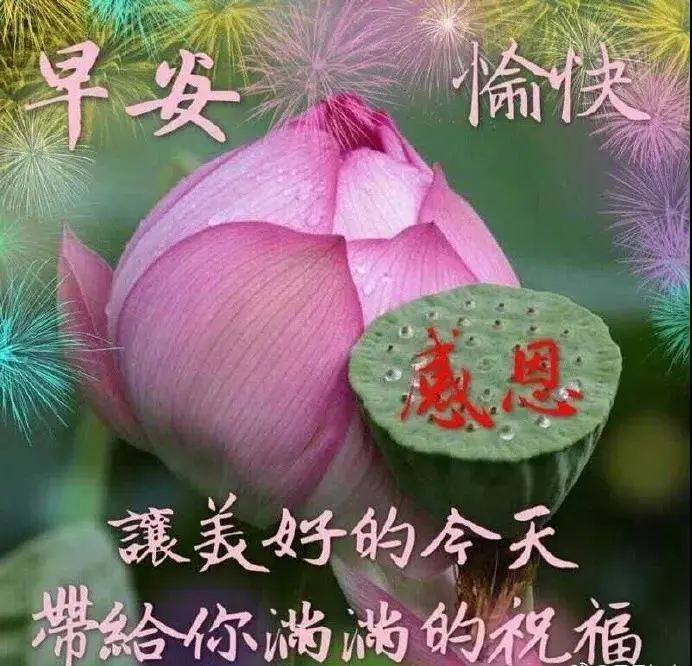 中老年表情包,轻轻的一声问候,祝你有愉快开心的一天!