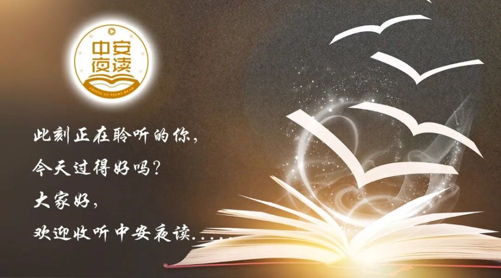【中安夜读】随和是素质,低调是修养,善良是选择