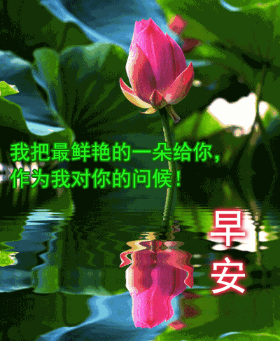 秋天最新创意好看的早安图片带祝福语 2021秋天早上好