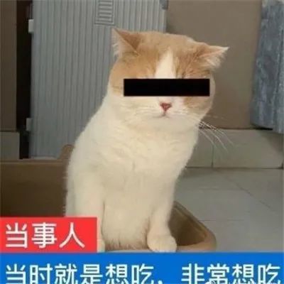 表情包:最新减肥表情包经典搞笑