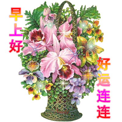 星期五早上好问候语动态图片鲜花带字温馨,早安祝福语