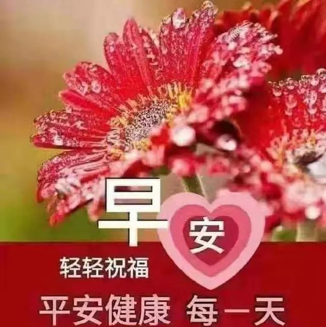 2020清晨温馨的早上好祝福语录,朋友圈最新早安文字问候表情