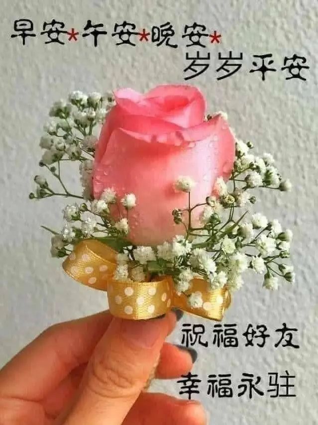 2020清晨温馨的早上好祝福语录,朋友圈最新早安文字