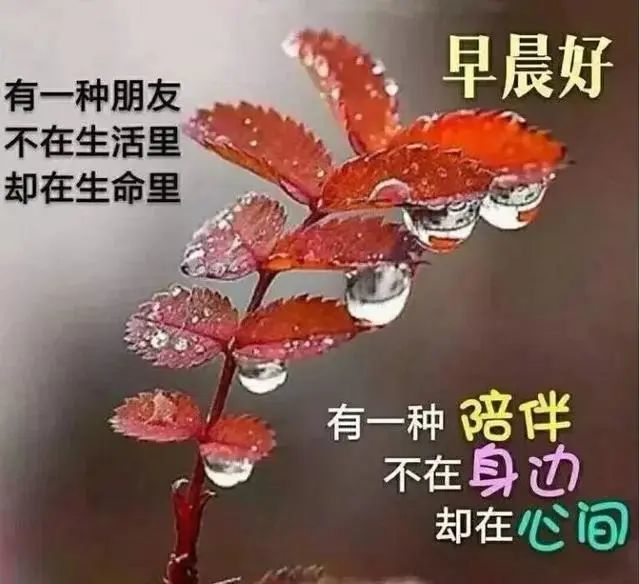 朋友圈非常阳光早上好正能量问候表情祝福图片带字