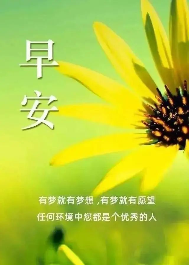 酷夏最暖心早上好问候图片带祝福语,早安正能量问候图片温馨带字