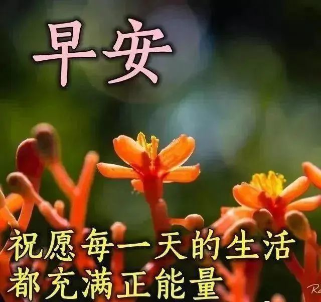 最新最漂亮的早上好祝福语图片 清晨早上好问候语阳光