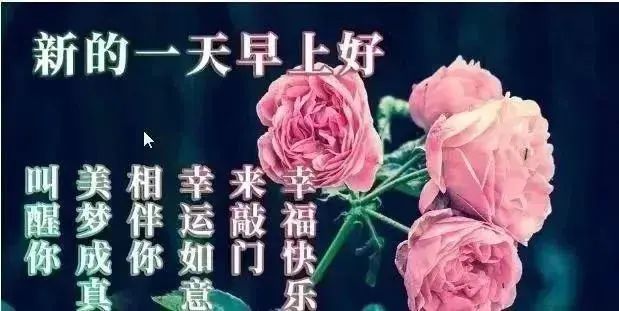 最新最漂亮的早上好祝福语图片 清晨早上好问候语阳光