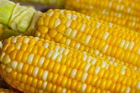 吃转基因食物不安全？营养师：几种食物是转基因，却可以放心吃
