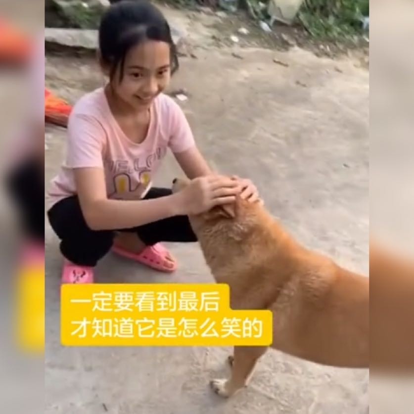 超喜感！萌娃训练狗狗笑起来的过程萌翻了，网友：微笑令人很治愈