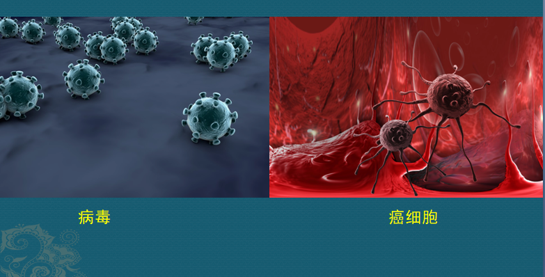 新冠病毒和癌细胞,没有计划生育部门管制,比母猪厉害