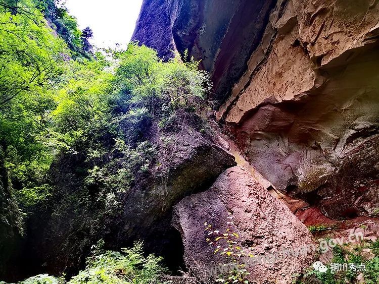 风景秀美的铜川印台金锁关崔家沟,夏日风光里的天然氧吧