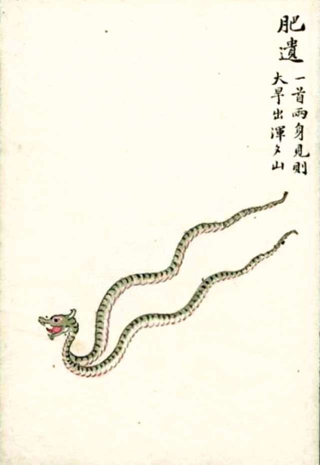 上古奇书《山海经》中的鱼和蛇,人面,长脚,还会飞,灭绝的海陆空三栖