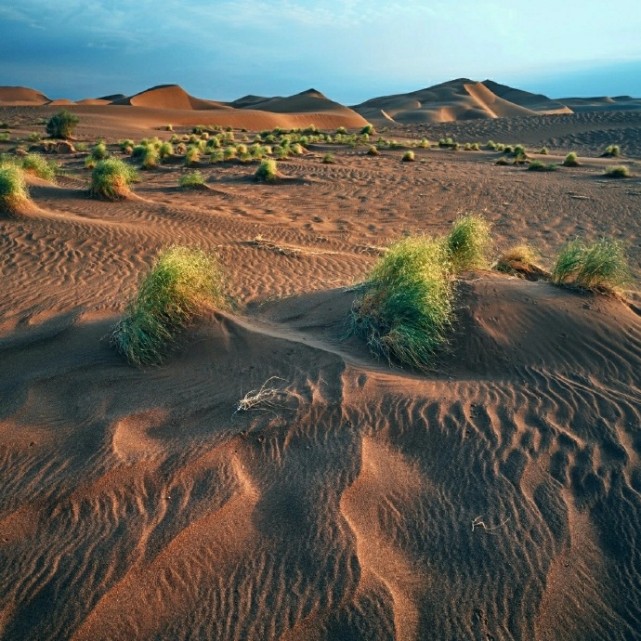沙漠·草原·湖泊·雪山·新疆是一个有着各类风景的