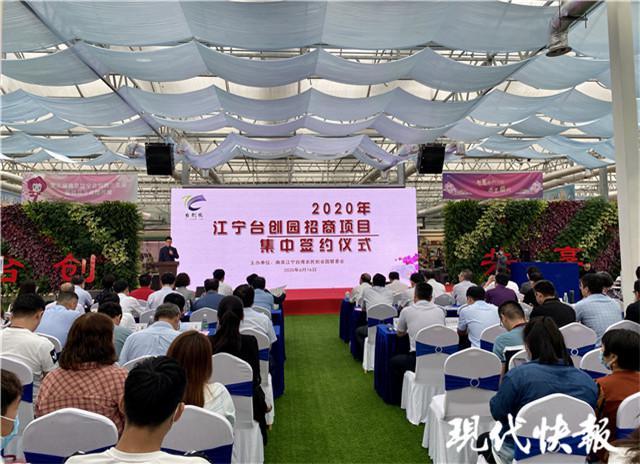 南京江宁台创园签约五大项成高新农业新引擎