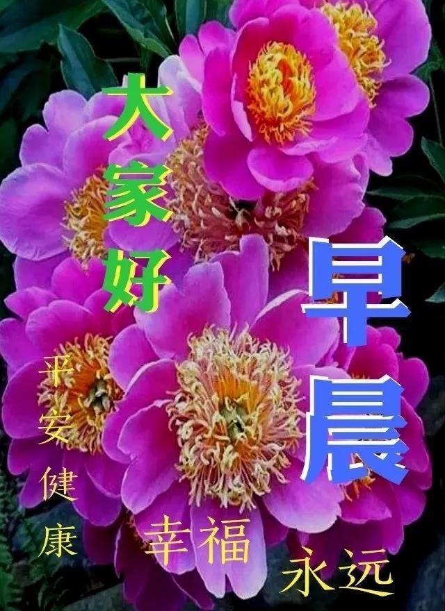 中老年表情包:防暑降温,不忘问候群友