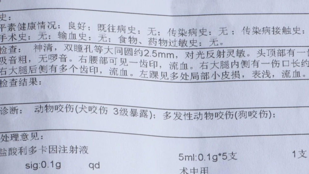 紧急提醒！近期多地有人被它咬伤，有医院一天接诊119人！