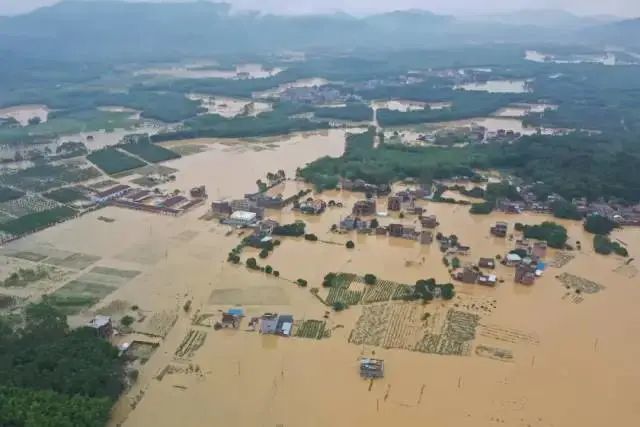 湛江有多少人口2020_湛江八大水果,最喜欢哪个 少吃一种都不算正宗湛江人(3)