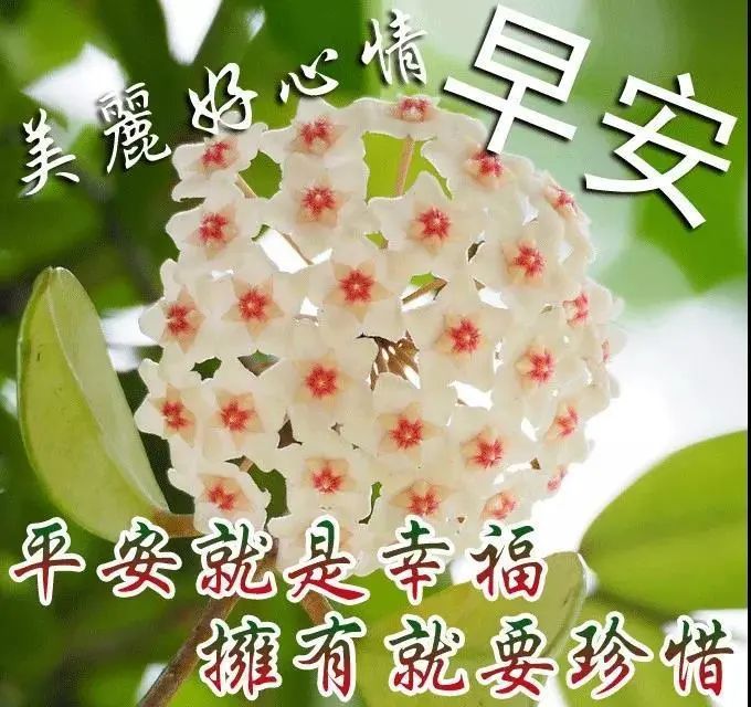 6月17日中老年表情包,平安就是幸福,拥有就要珍惜!