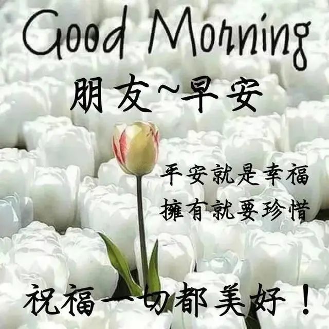 周三早上好问候语图片语录 最美早安问候温馨图片带字