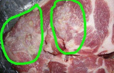 通里脊肉,后腿肉二级猪肉:前腿肉,五花肉三级猪肉:血脖肉,奶哺肉,前肘