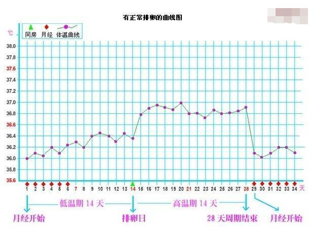 人口正常体温_正常体温图片