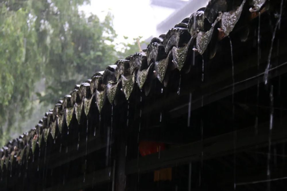 凭栏听雨声,来金山这里感受诗一般的浪漫