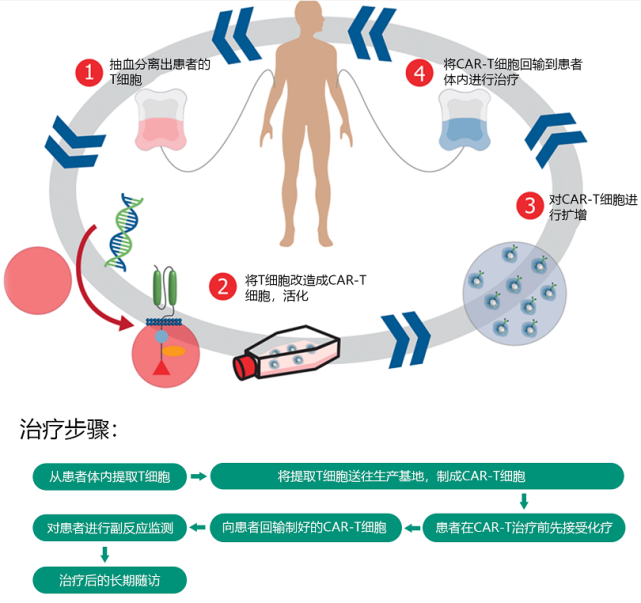 car-t细胞免疫疗法 图源:梅斯医学