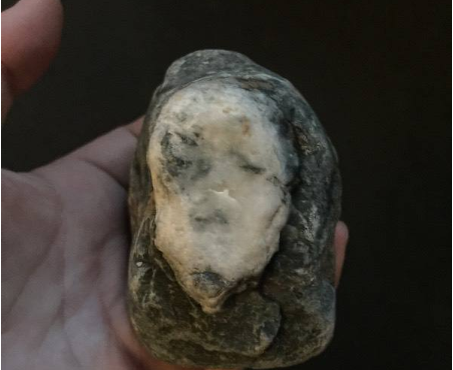 男子捡到一块石头竟长着一张人脸专家鉴定后比黄金都值钱