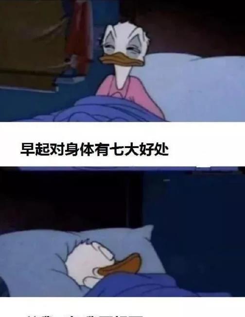 "假如你是唐僧,哪个女妖精你最顶不住?"哈哈哈哈哈太