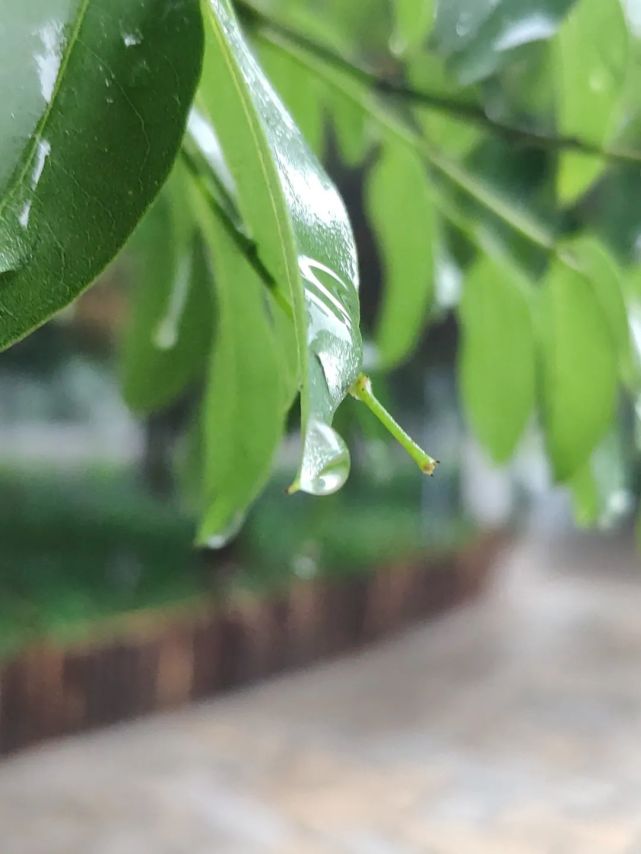 浅夏微凉,爱在风雨里