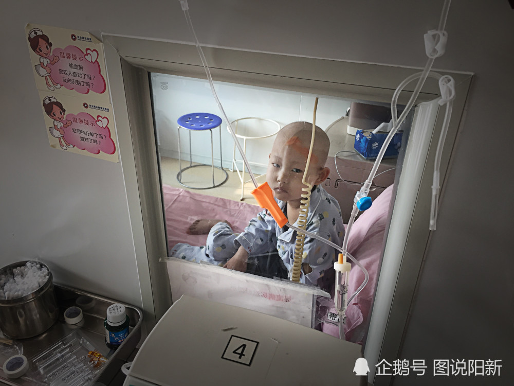 移植仓内的梓仪