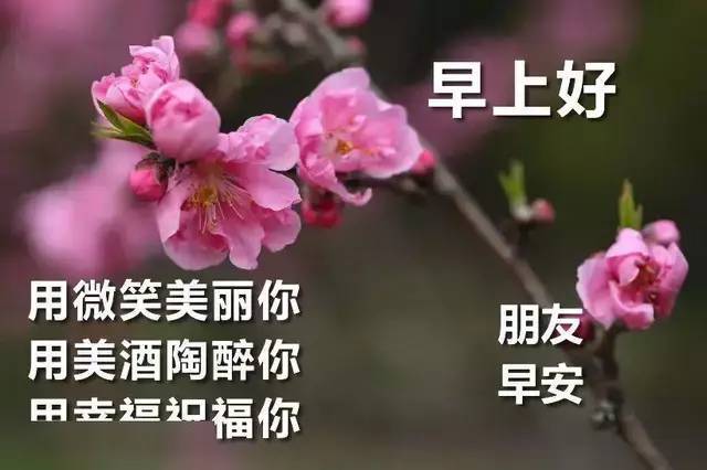 2020早上好最新祝福语动态表情图片鲜花带字