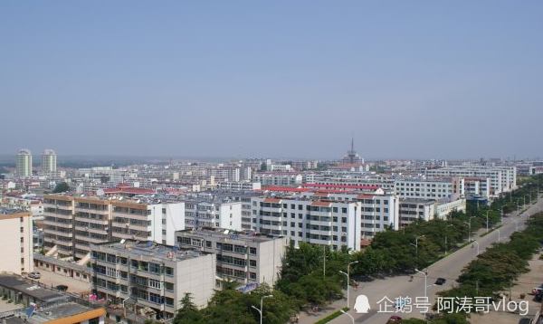山东人口出生率_山东人口密度图(2)