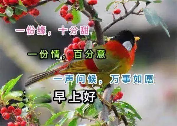 6月18日温馨版早安祝福语动态早安图片 暖暖的早上好早安祝福问候句子