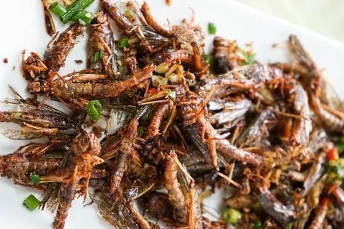 中国人吃了上千年都没灭绝，现在吃货疯狂追捧，取代小龙虾的地位