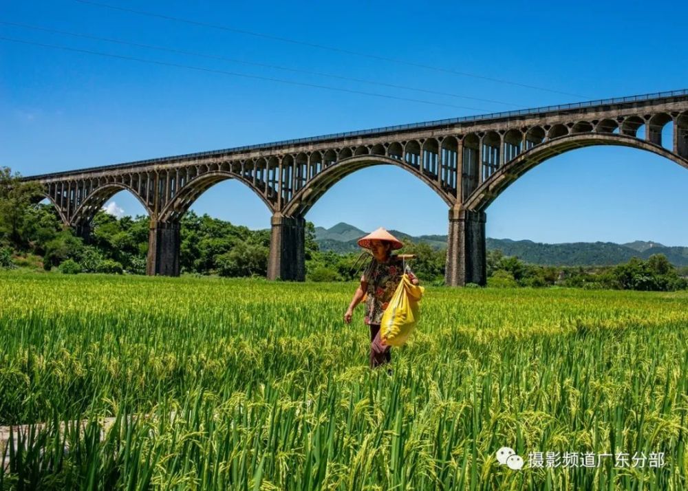 《广东红旗渠》-罗定长岗坡渡槽