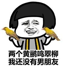 蘑菇头我还没有男朋友【表情包】