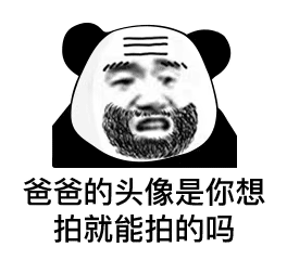爸爸的头像是你想拍就能拍的吗(熊猫头拍一拍表情包)