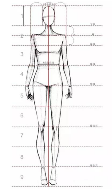 4,画人体比例的几个重要技巧 (1) 横着比 当要画某个物体的位置时,那