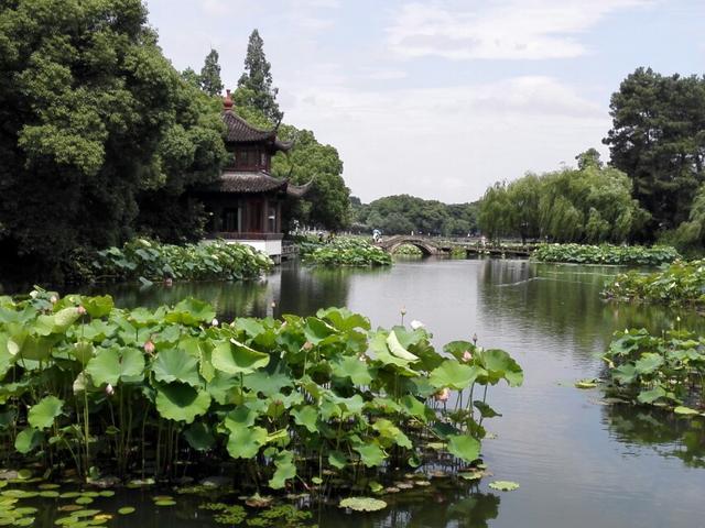 浙江人口基数_浙江纺织人口