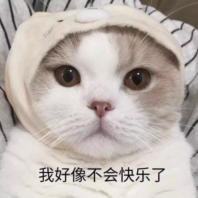 表情包:我有个朋友问你,想不想找对象?