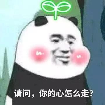 表情包:小可爱,请问你的心怎么走?