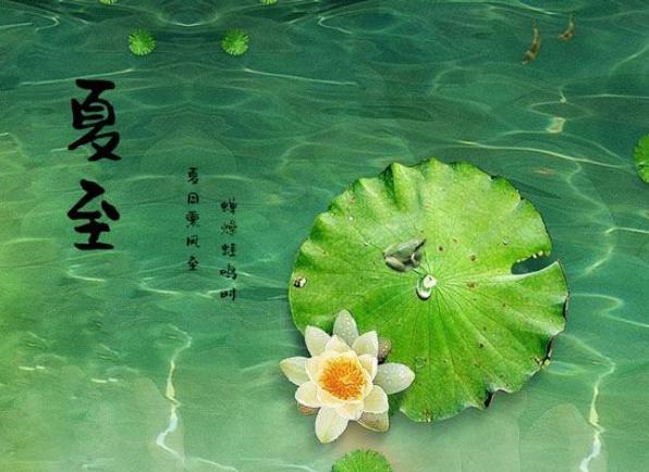 夏至节气即将到来,你听说过"夏九九"吗?原来夏天也有"