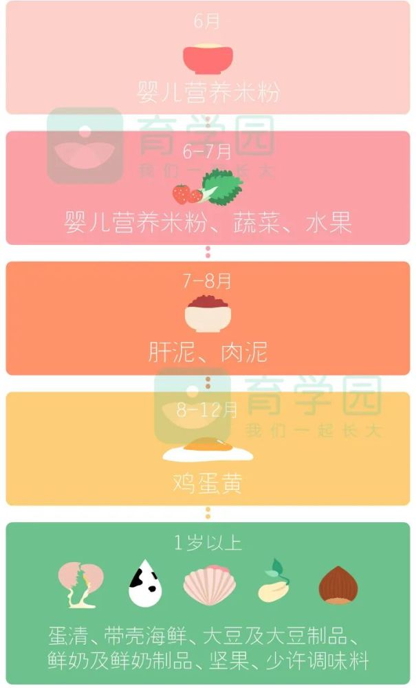 图例出自育学园孕育学院中的 会员专享课程《辅食从零添加》