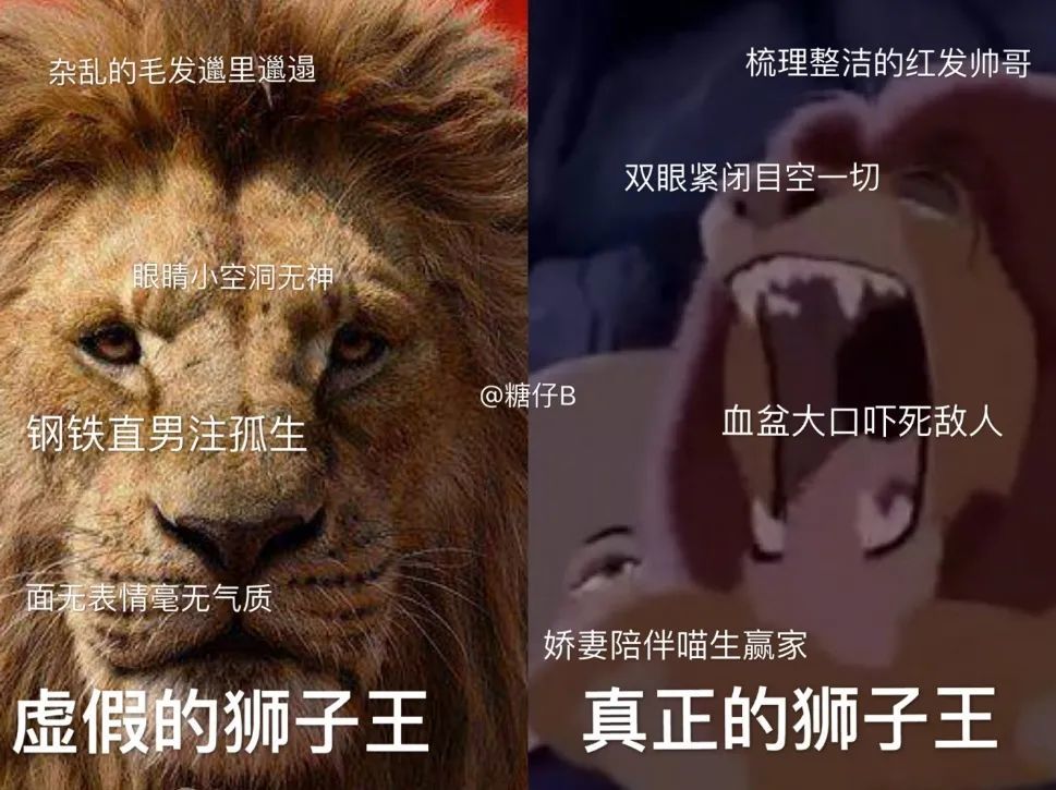 你看那猴子笑那么开心它真的高兴吗