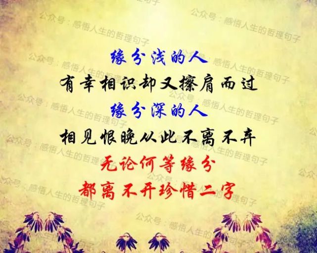 无论何等缘分,都离不开珍惜二字