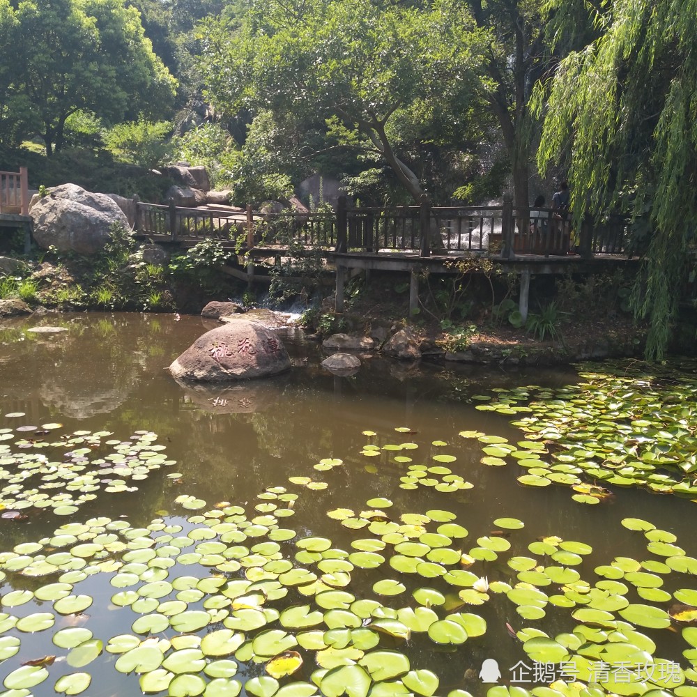浙江舟山桃花岛风景