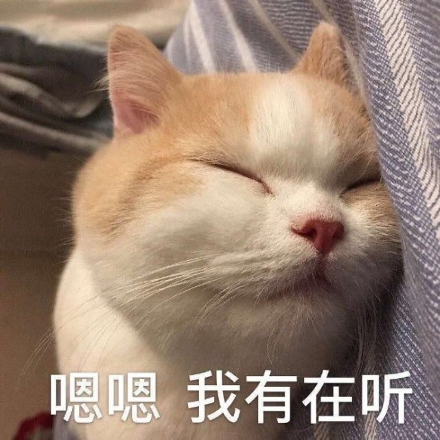 沙雕表情包——退下吧,晚安啦